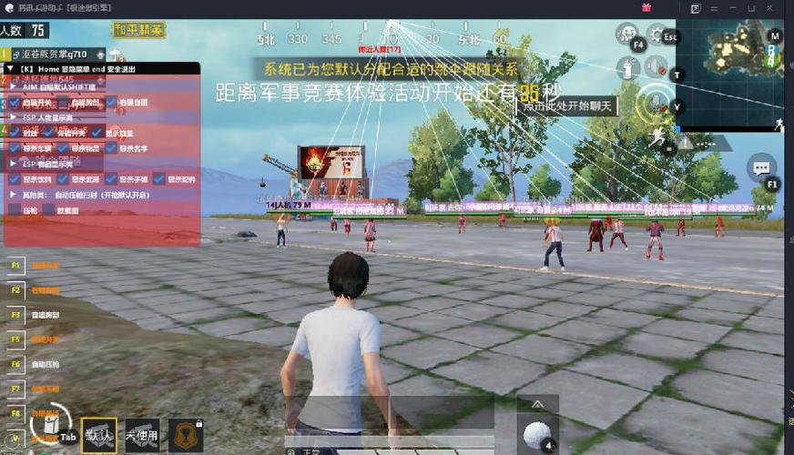 深入了解和平精英辅助现象：技术创新与社会影